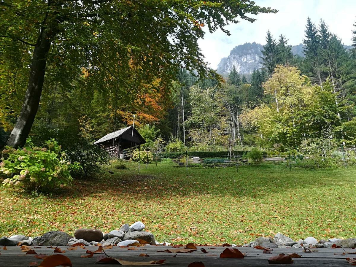 Iskaretreat Chalet *